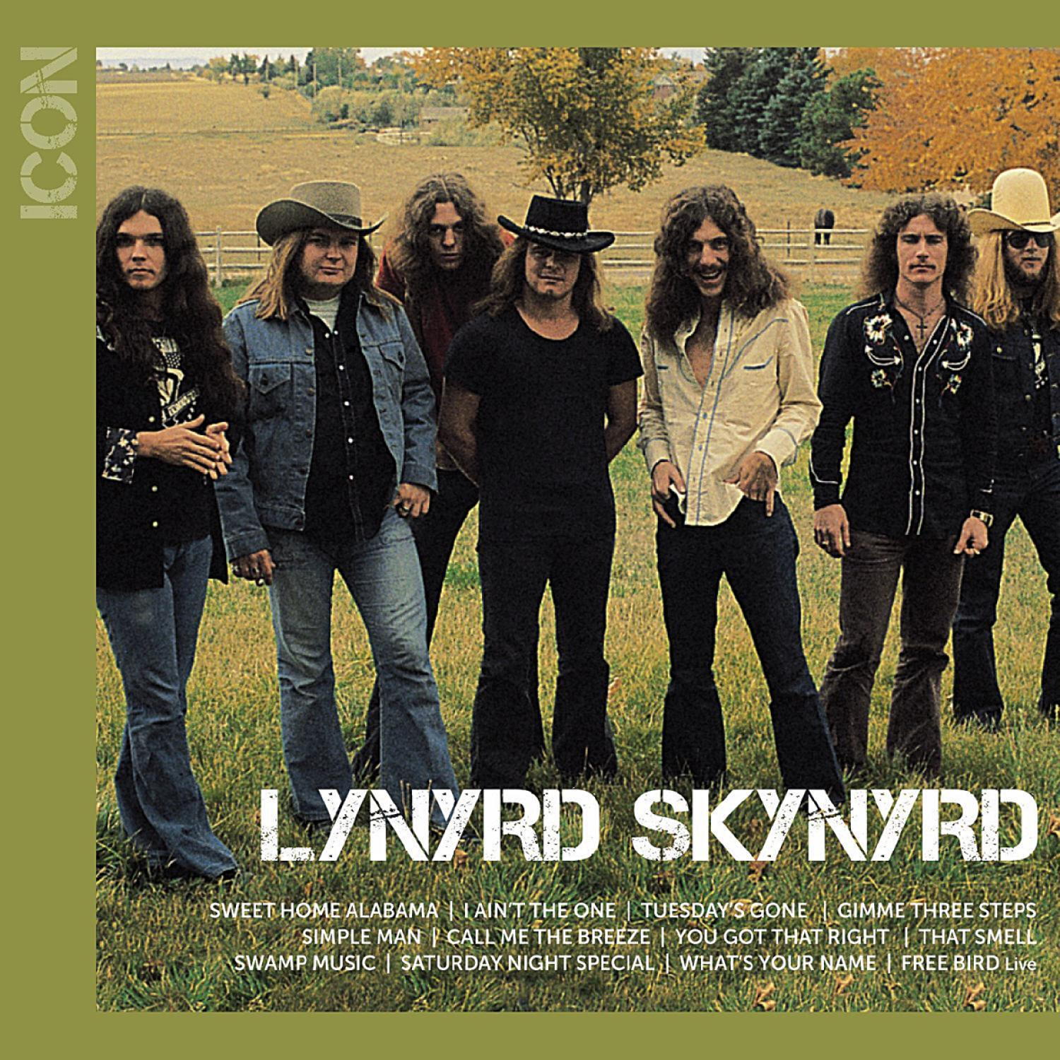 Lynyrd Skynyrd Albumcover mit den Bandmitgliedern, die in einem Feld posieren.