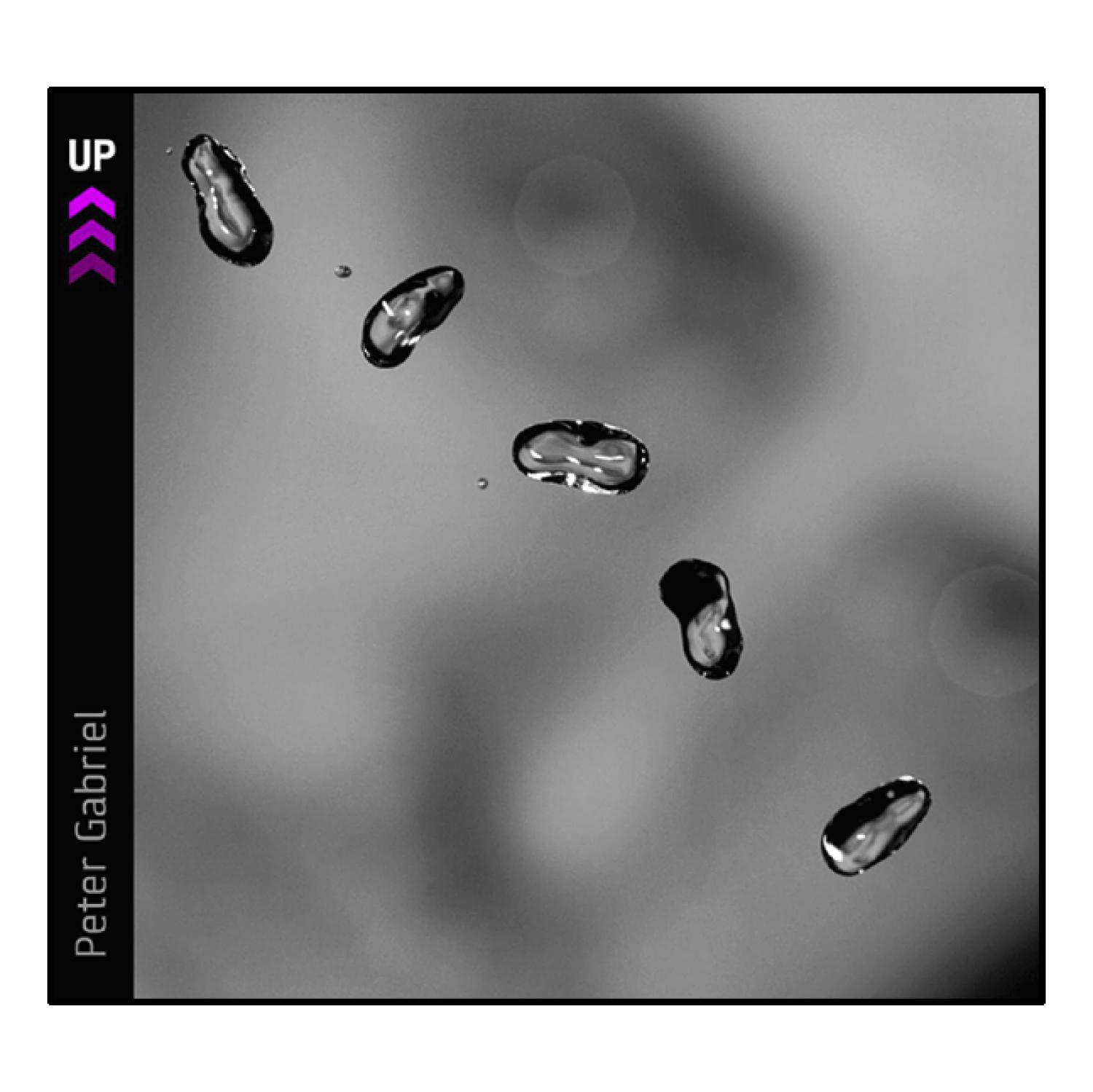 Albumcover mit Wassertröpfchen. Die Tröpfchen sind schwarz und weiß, mit dem Wort UP oben.