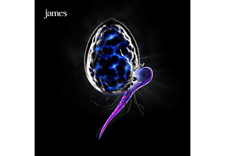 James - The Night Before (CD)