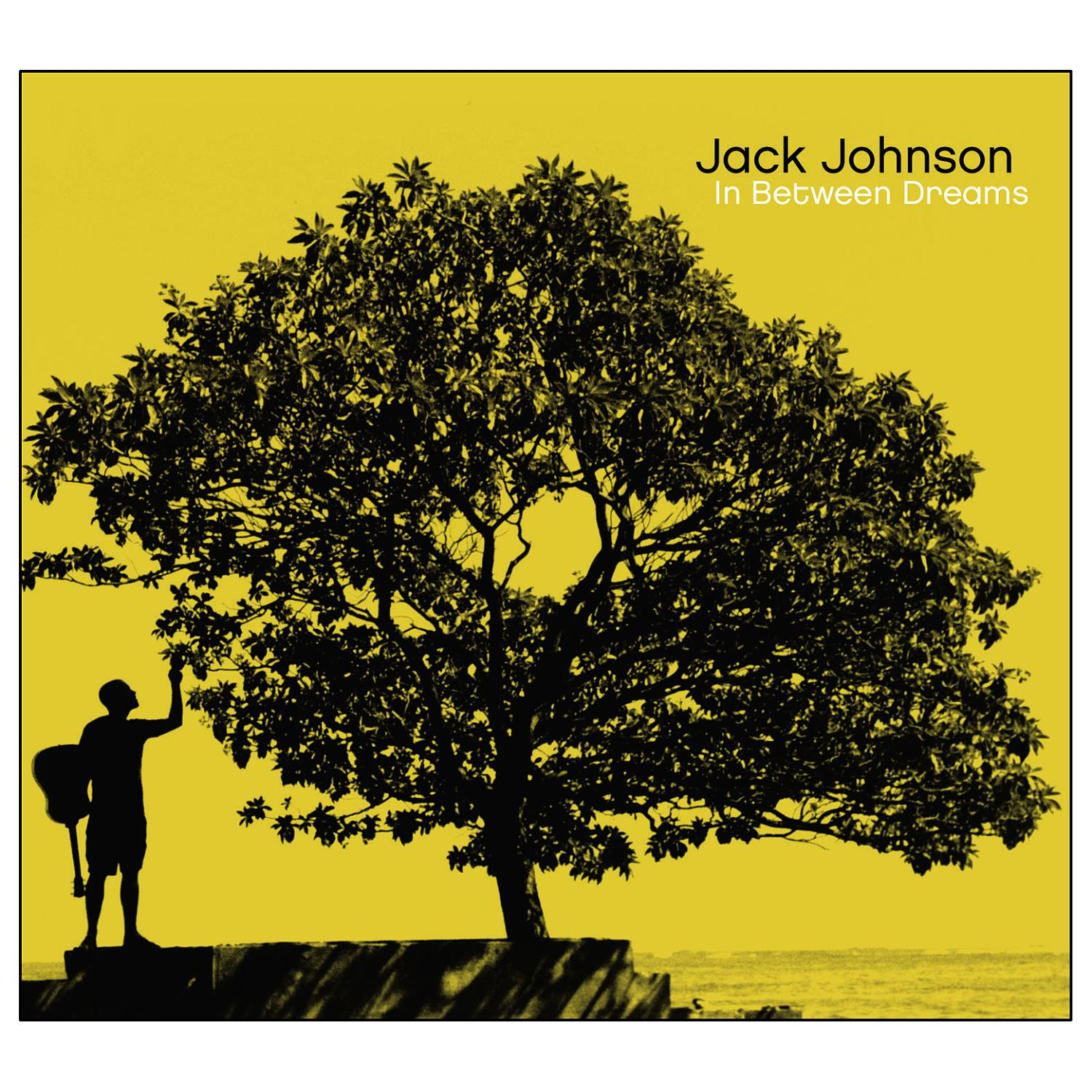 Jack Johnson Albumcover, Baum im Hintergrund, Mann mit Gitarre links.