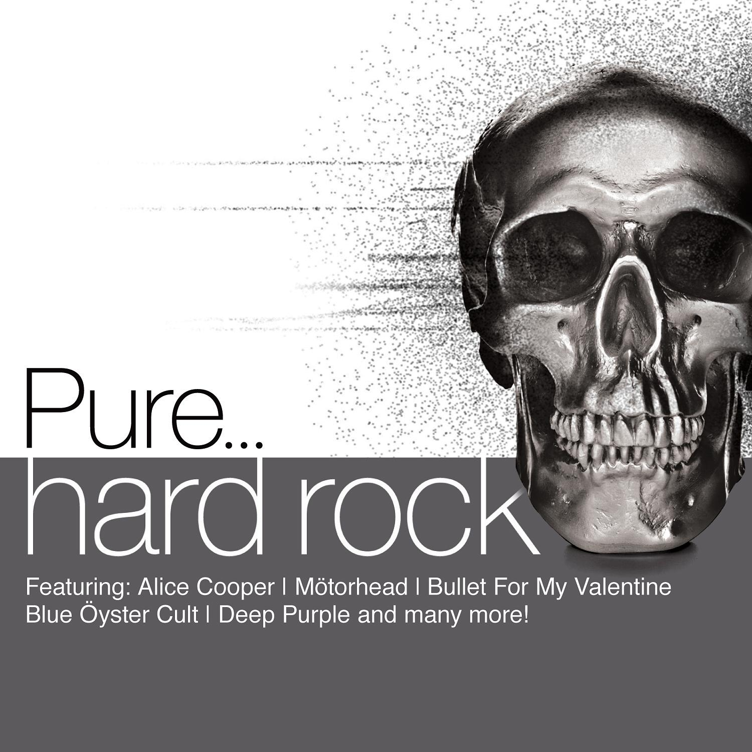 VARIOUS - Pure... Hard Rock  - (CD)