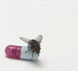 Red Hot Chili Peppers - I’m with you  - (CD)