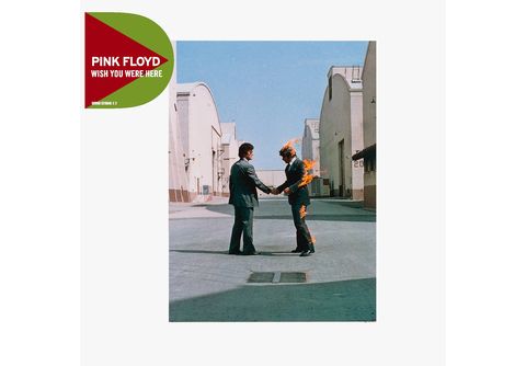 Pink Floyd  Pink Floyd - Delicate Sound Of Thunder - (CD) Rock & Pop CDs -  MediaMarkt