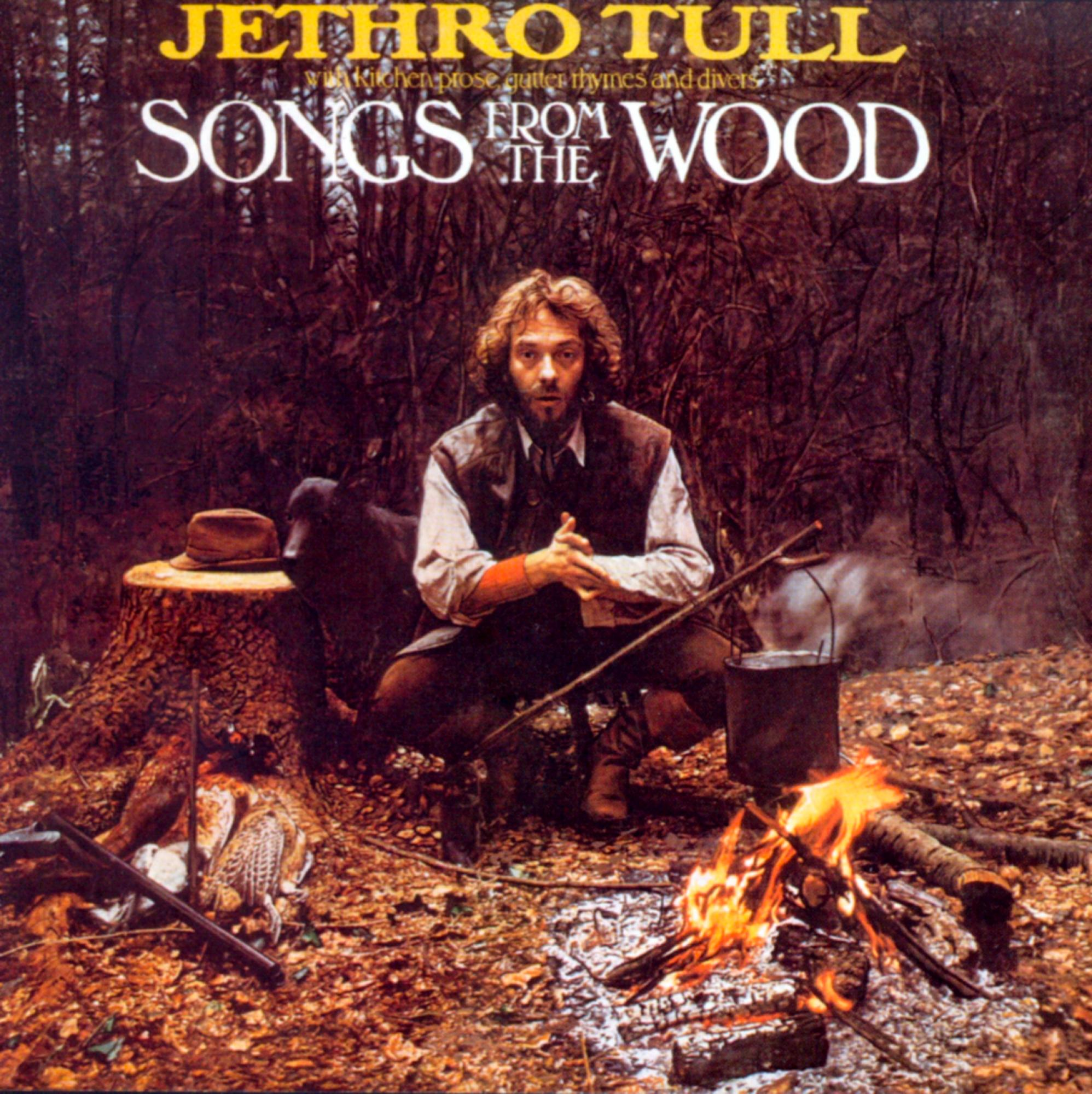 Mann sitzt am Feuer, Albumcover. Hut auf Baumstumpf, Vogel und Gewehr. Waldhintergrund mit Albumtext.