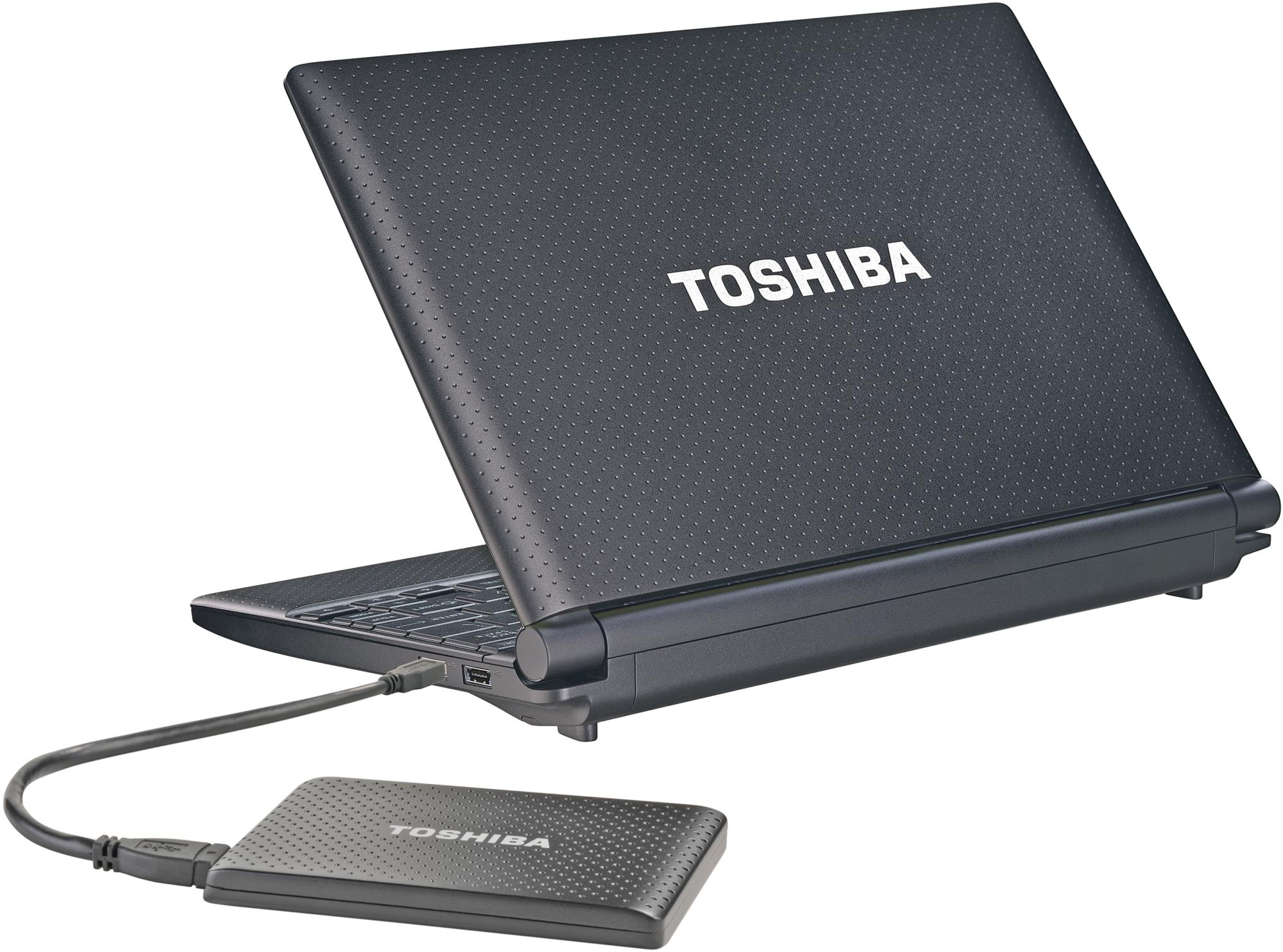 Disco duro de 500Gb - Toshiba Store Partner negro, externo de 2.5
