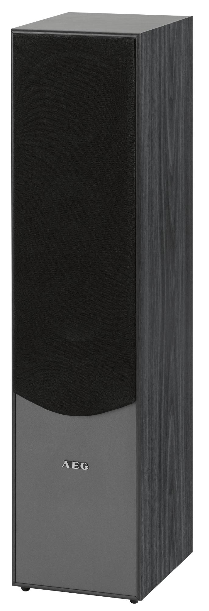 AEG LB 4711 1 Paar Standlautsprecher, Schwarz