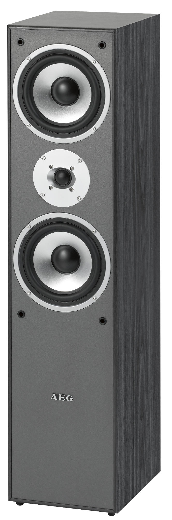 AEG LB 4711 1 Paar Standlautsprecher, Schwarz
