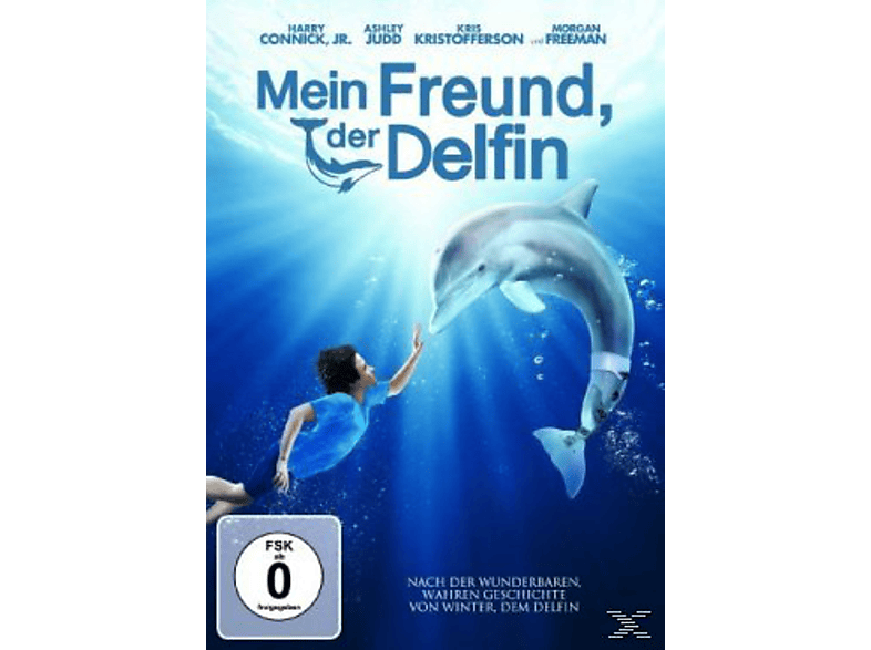 Der Freund или die Freund. Mein Freund - meine Freundin правило.