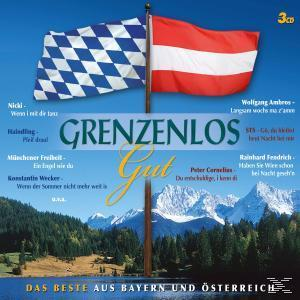 Albumcover mit Flaggen von Österreich und Bayern. Enthält deutschen Text über ein Lied und Berglandschaft im Hintergrund.
