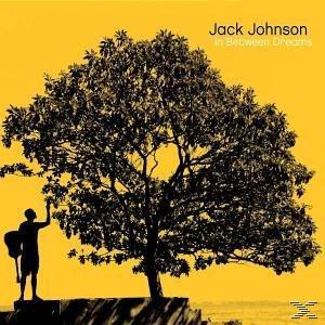 Albumcover mit einem silhouetten Mann mit Gitarre unter einem Baum. Gelber Hintergrund.