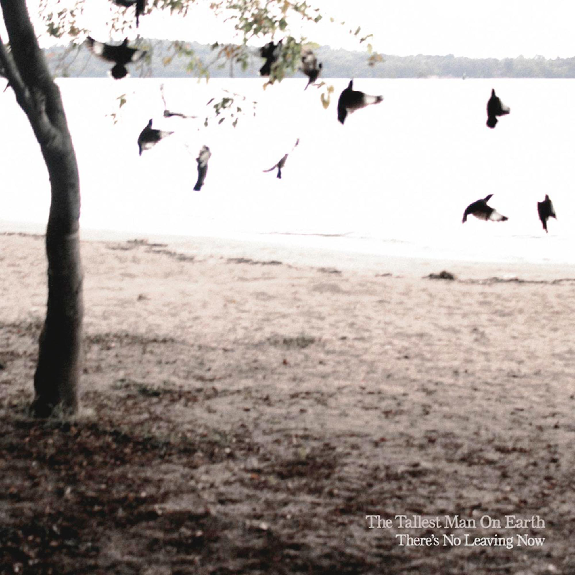 The Tallest Man On Earth - THERE S NO LEAVING NOW  - (CD)