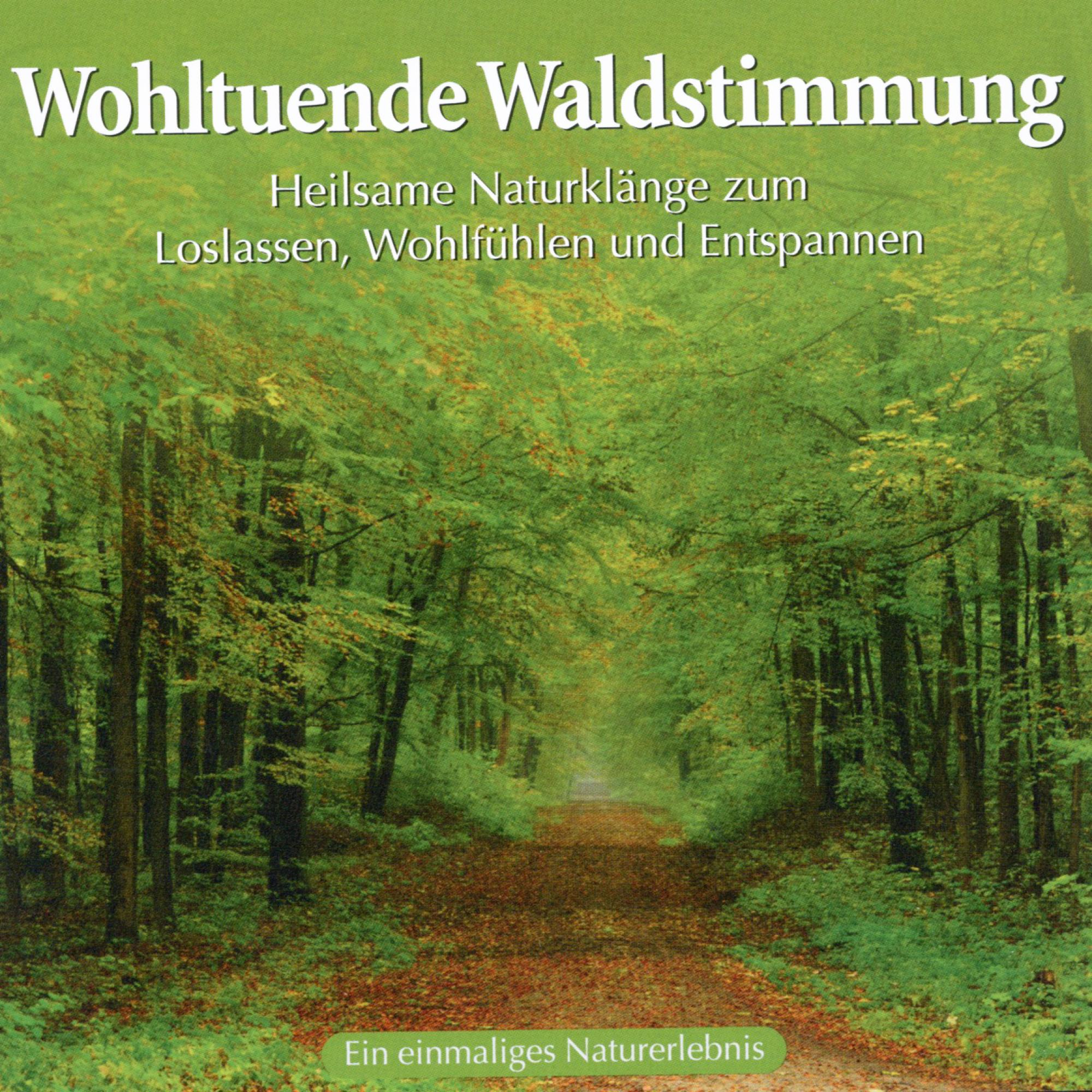 Naturgeräusche - Wohltuende Waldstimmung  - (CD)