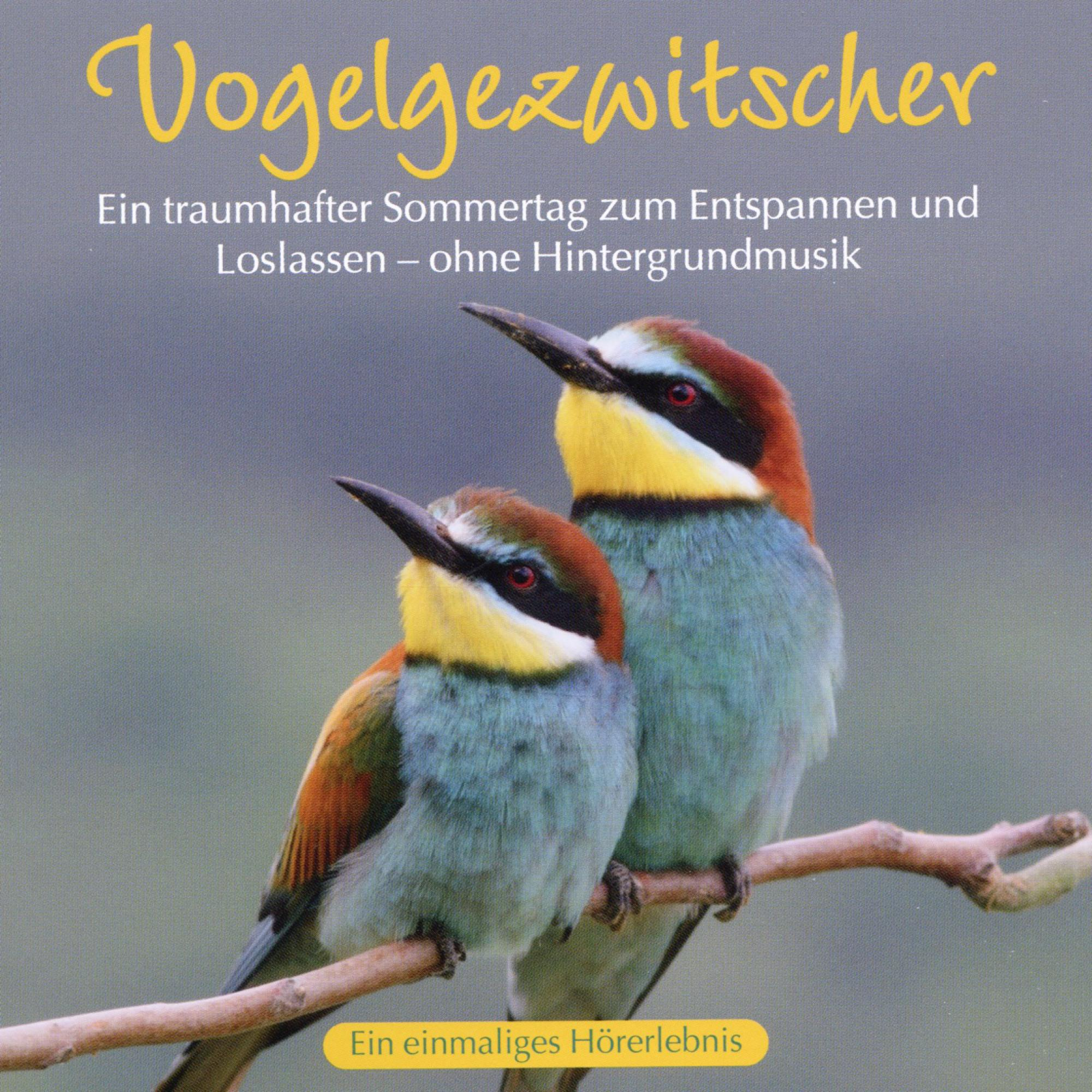 CD-Cover: Zwei bunte Vögel auf einem Ast mit deutschem Text. Titel: Vogelgezwitscher.