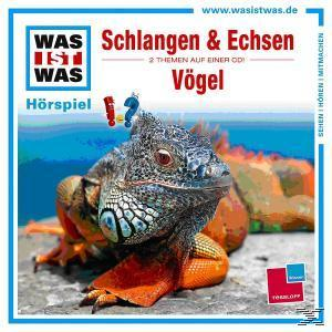 Albumcover von 'WAS IST WAS' mit einem Leguan und einer Eidechse. Text auf Deutsch. Blaues und oranges Farbschema.