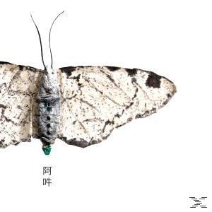 Christian Fennesz - Aun: The Beginning And The End Of A  - (CD)