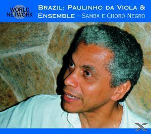 Paulinho/ensemble Da Viola - Brazil  - (CD)