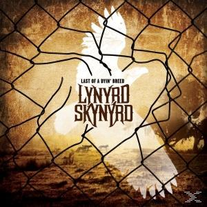 Lynyrd Skynyrd - Last Of A Dyin' Breed  - (CD)