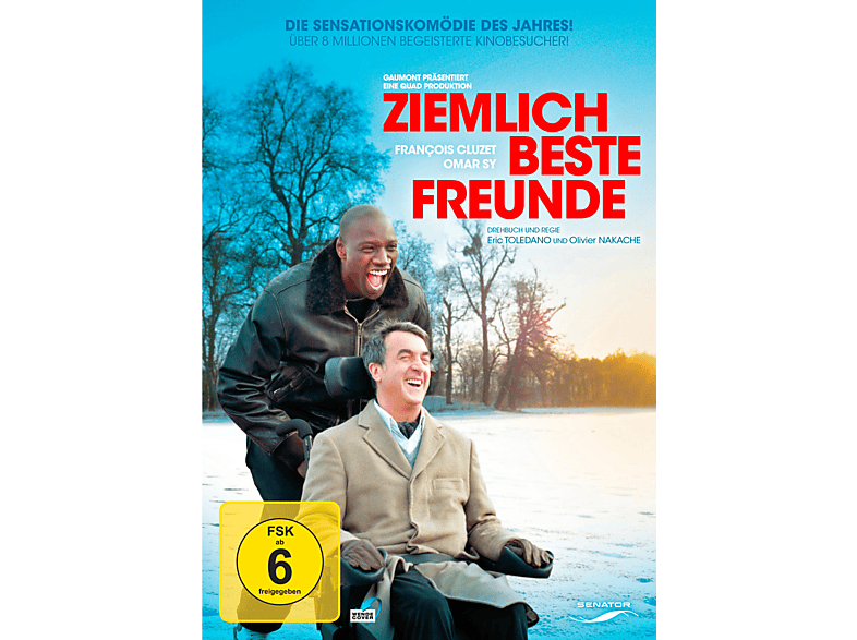 Ziemlich beste Freunde DVD online kaufen