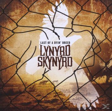 Lynyrd Skynyrd - Last Of A Dyin' Breed  - (CD)