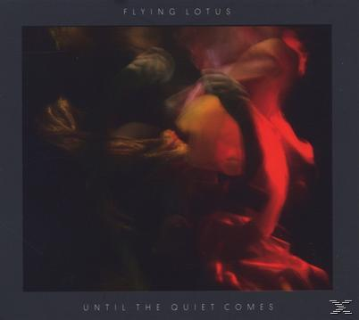 The - - Until Lotus Flying Comes Quiet (CD)