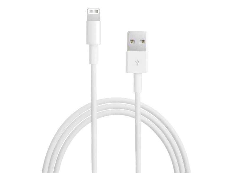 inzet oosters wagon APPLE Lightning naar USB Kabel 2M kopen? | MediaMarkt