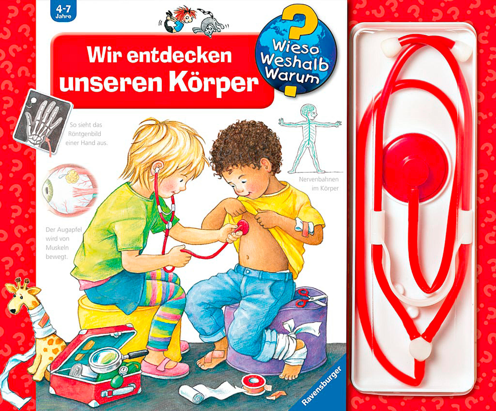 Wir entdecken unseren Körper