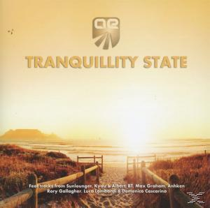 VARIOUS - tranquillity state  - (CD)