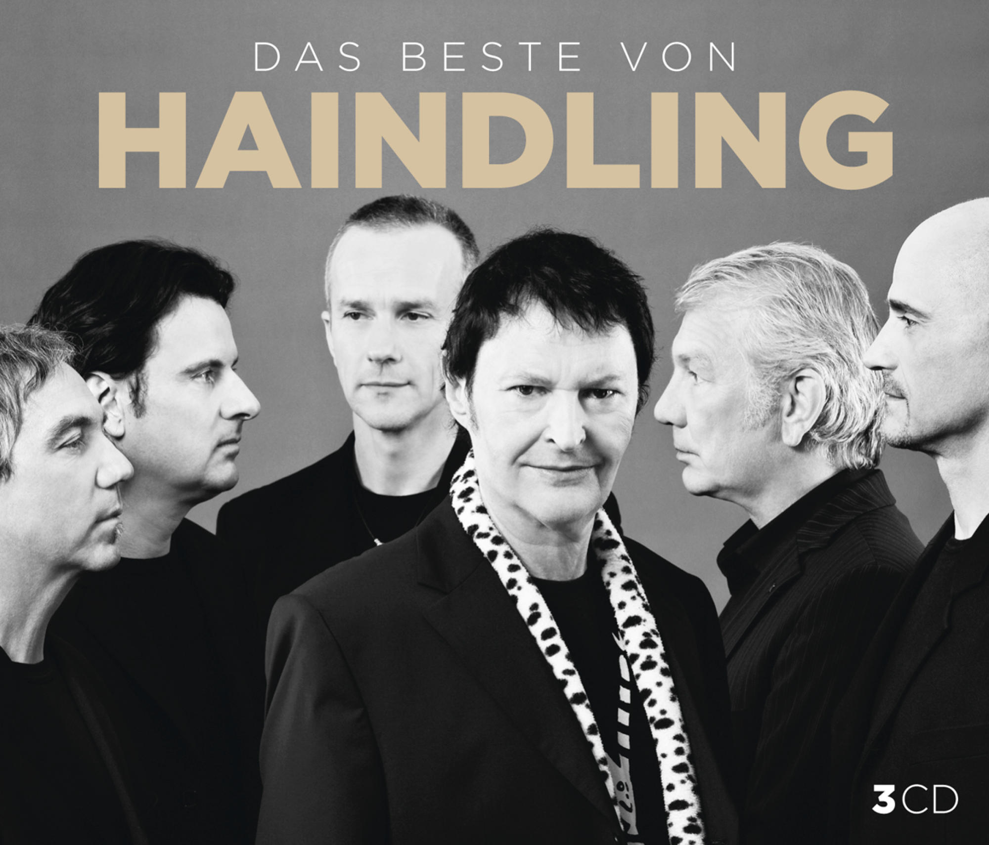 Haindling - (CD) Rückblicke 
