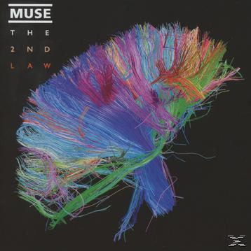 Muse-Albumcover. Bunte, haarähnliche Linien vor schwarzem Hintergrund.