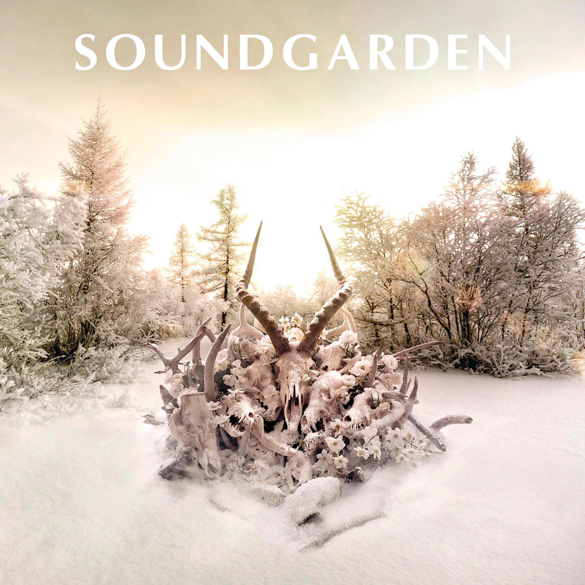 - (CD) ANIMAL KING Soundgarden -