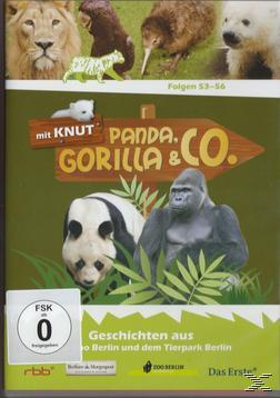 Panda, Gorilla & Co. Vol.6 (Folgen 53-56) DVD