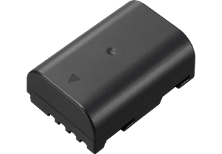 PANASONIC DMW-BLF19 - Batterie (Noir)