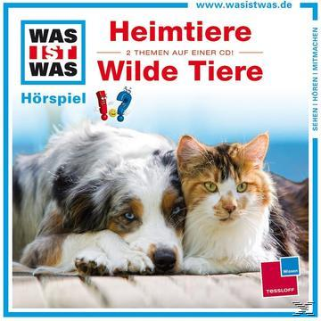 Cover mit einem Hund und einer Katze, die zusammen liegen. Text auf Deutsch.
