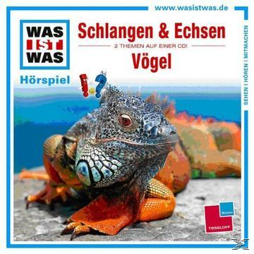Albumcover, Leguan mit Fragezeichen. Text über Schlangen und Eidechsen. Bunt.