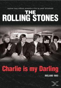 The Rolling Stones Filmplakat, schwarzer Hintergrund mit Text und Bandfoto.