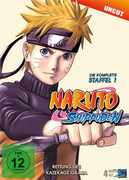 Naruto Shippuden - Staffel 1 (uncut) [DVD]