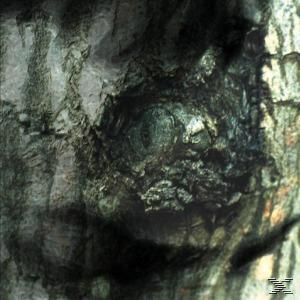 Ein abstraktes Bild einer Höhle mit einem Loch in der Mitte. Die Farben sind Grün, Braun und Grau.