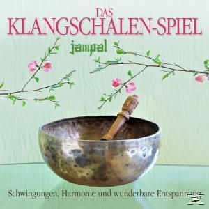 Eine silberne Klangschale mit einem Holzschlägel und Blumen im Hintergrund.