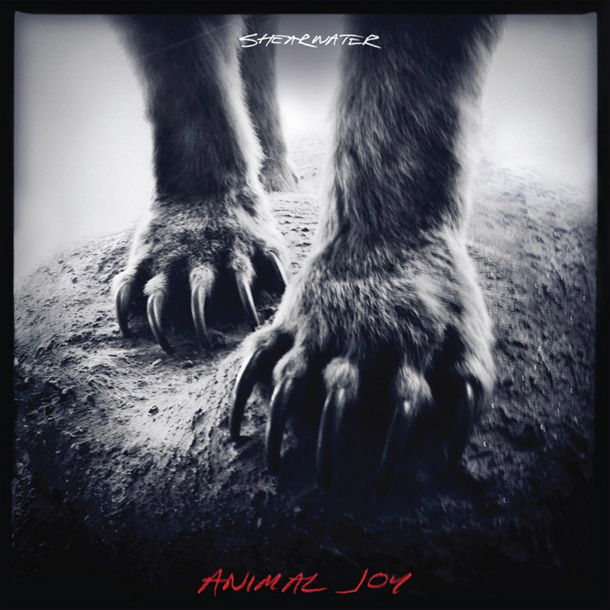 Shearwater - Animal Joy  - (Vinyl)