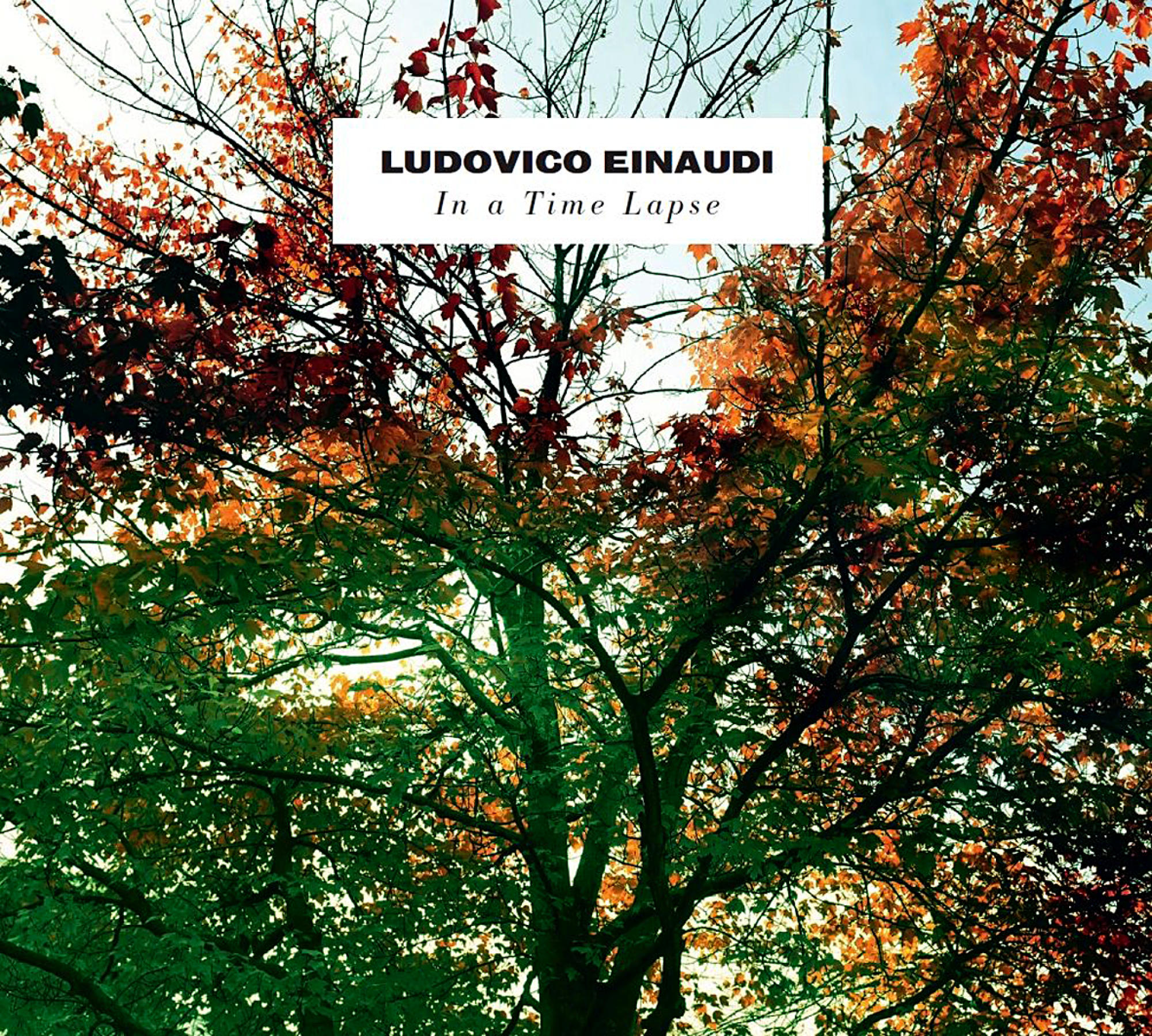 Ludovico Einaudi - In A Time Lapse  - (CD)