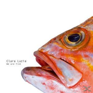 Clara Luzia - We Are Fish  - (Vinyl)