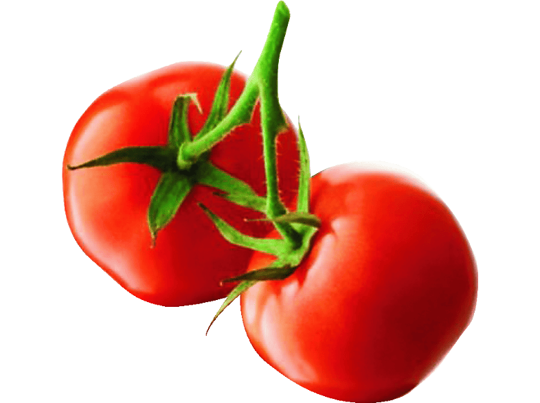 PHILIPS HR1388/80 Viva Collection 200 Watt Zerkleinerer