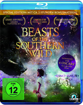Beasts Of The Southern Wild (Special Edition) Blu-ray