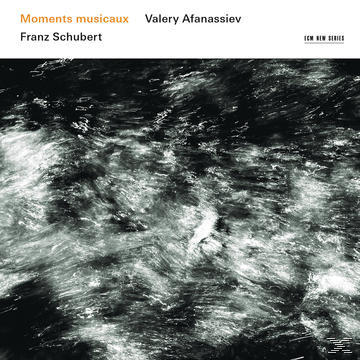 Valery Afanassiev - Moments Musicaux  - (CD)