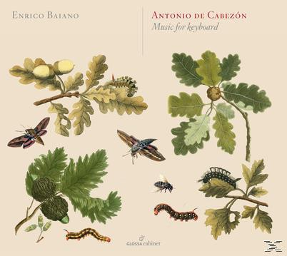 Albumcover: Eichenblätter, Eicheln und Insekten. Text: Enrico Baiano und Antonio de Cabezón: Musik für Keyboard.