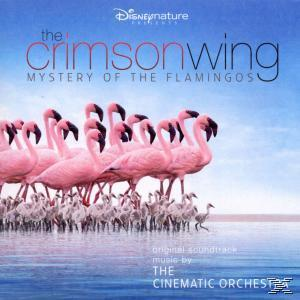 The Crimson Wing: Mystery of the Flamingos. Albumcover mit rosa Flamingos und blauem Himmel im Hintergrund.
