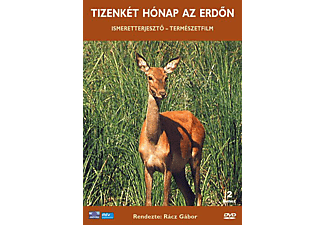 Tizenkét hónap az erdőn (DVD)