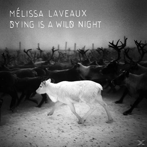 Melissa Laveaux - Dying Is A Wild Night  - (CD)