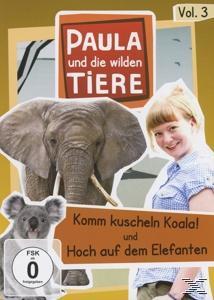 Vol.3: Komm Kuscheln Koala!/Hoch Auf Elefan Dem DVD