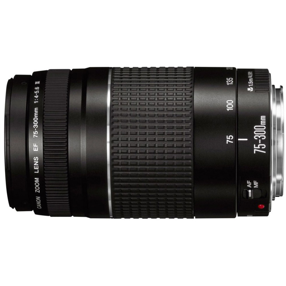 【L2179】 Canon LENS EF 75-300mm 4-5.6 Ⅱ Canon 75-300mm f4-5.6 II - Lens – Kamerastore